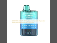 22000 bouffées 650 mAh capacité de batterie Vaporiseur à la nicotine rechargeable